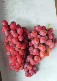 Australia Red Seedless Grapes 10kls