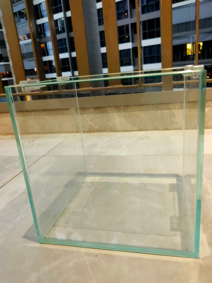 Crystal glass fish tank, Pet Supplies, Homes & Other Pet Accessories on Carousell