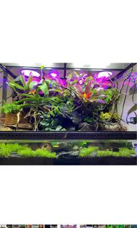 (Category: ) located in . Submitted by chevynng (Listing ID 1147315138, Image 1). Description: .