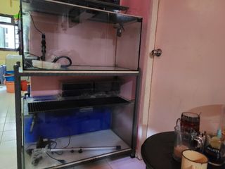 (Category: ) located in . Submitted by ask.man1962 (Listing ID 1147413379, Image 1). Description: .