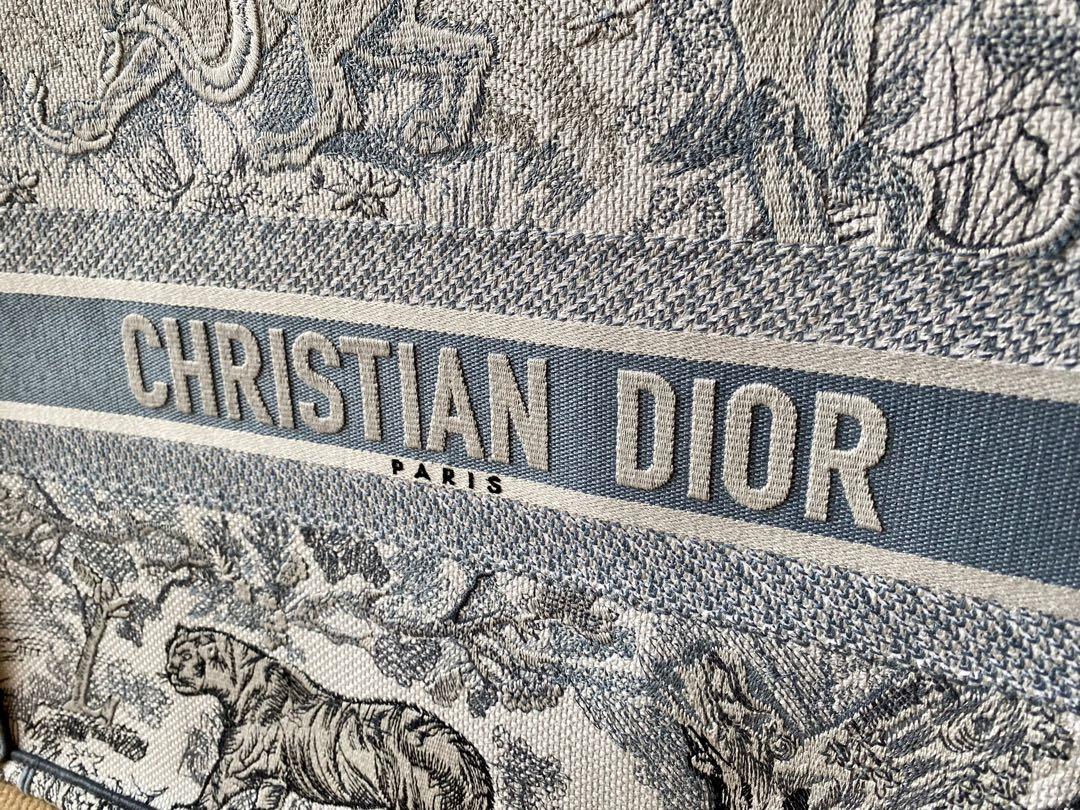 Large Dior Book Tote Bag In Blue Toile de Jouy Gradient Embroider