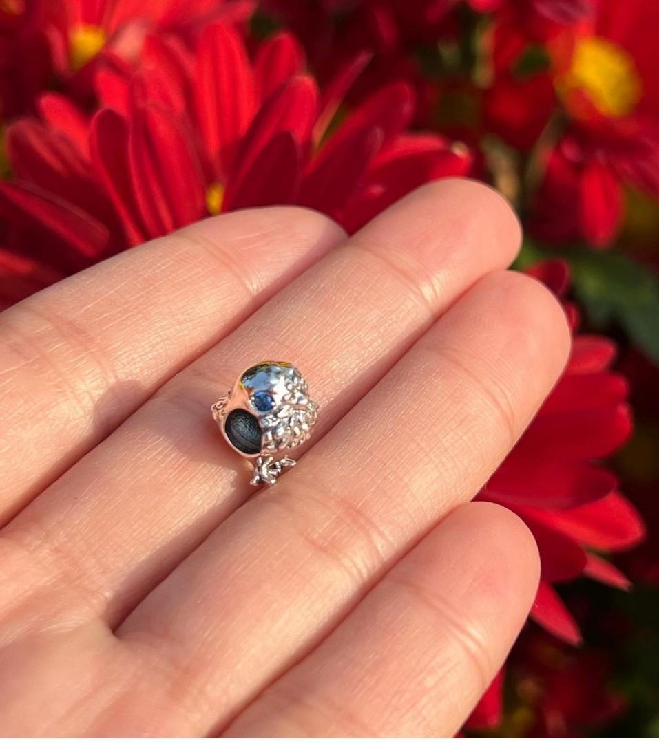 Chick pandora charm sale