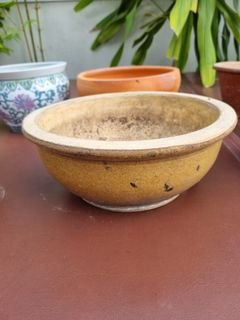 (Category: ) located in . Submitted by tobopolitan (Listing ID 1147375023, Image 1). Description: .