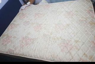 (Category: ) located in . Submitted by rashmi1999 (Listing ID 1147491663, Image 1). Description: .