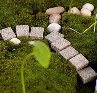 Terrarium Stone Pavement / Miniature Slabs / Terrarium Steps / Miniature Stone Steps