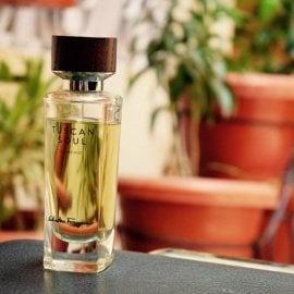 Tuscan soul convivio perfume shop