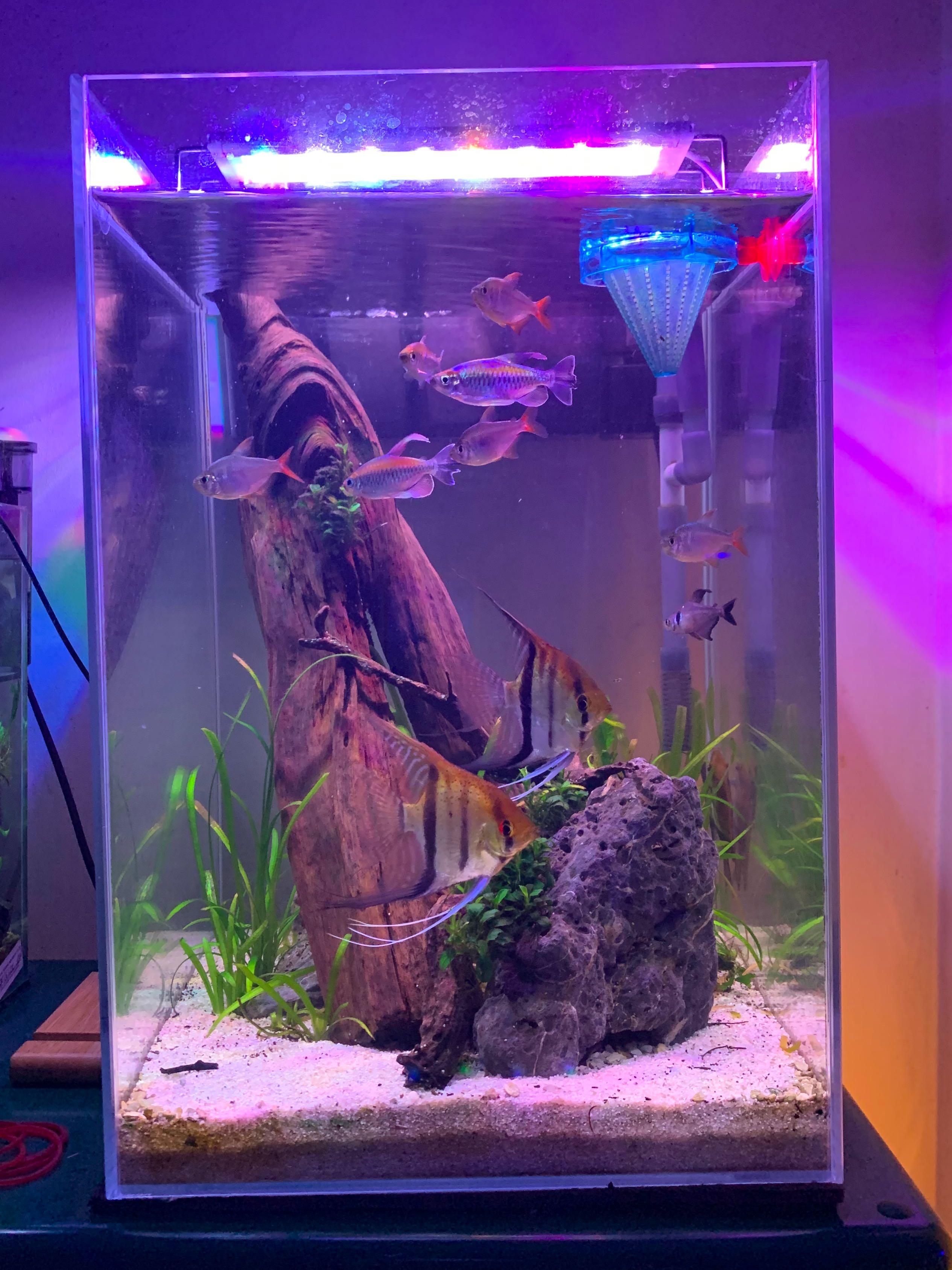 aquarium filter rocks