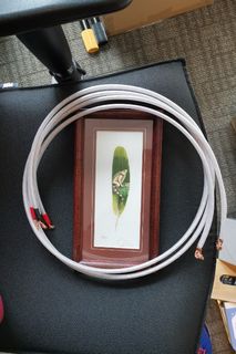 （分類：）位於 。 由 chekhov_turtle 提交（商品編號 1147515181，圖片 1）。簡介： 。