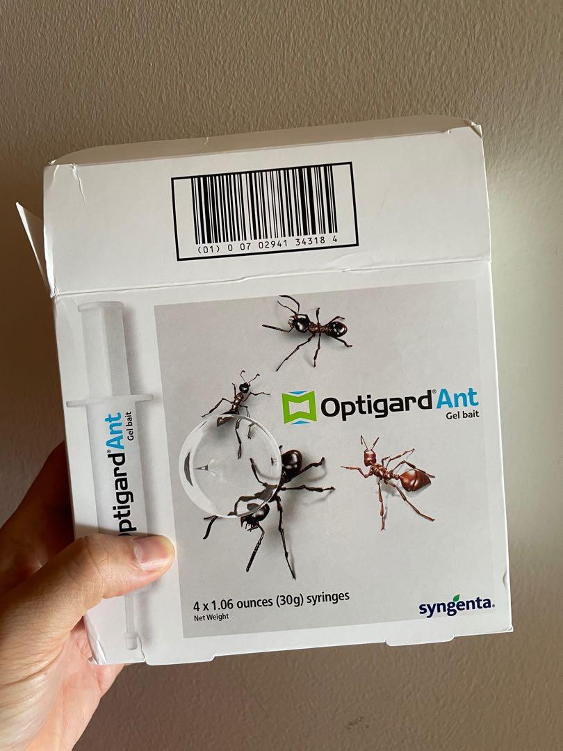 Ant Gel - Ant Killer, Furniture & Home Living, Cleaning & Homecare  Supplies, Pest Control Supplies on Carousell