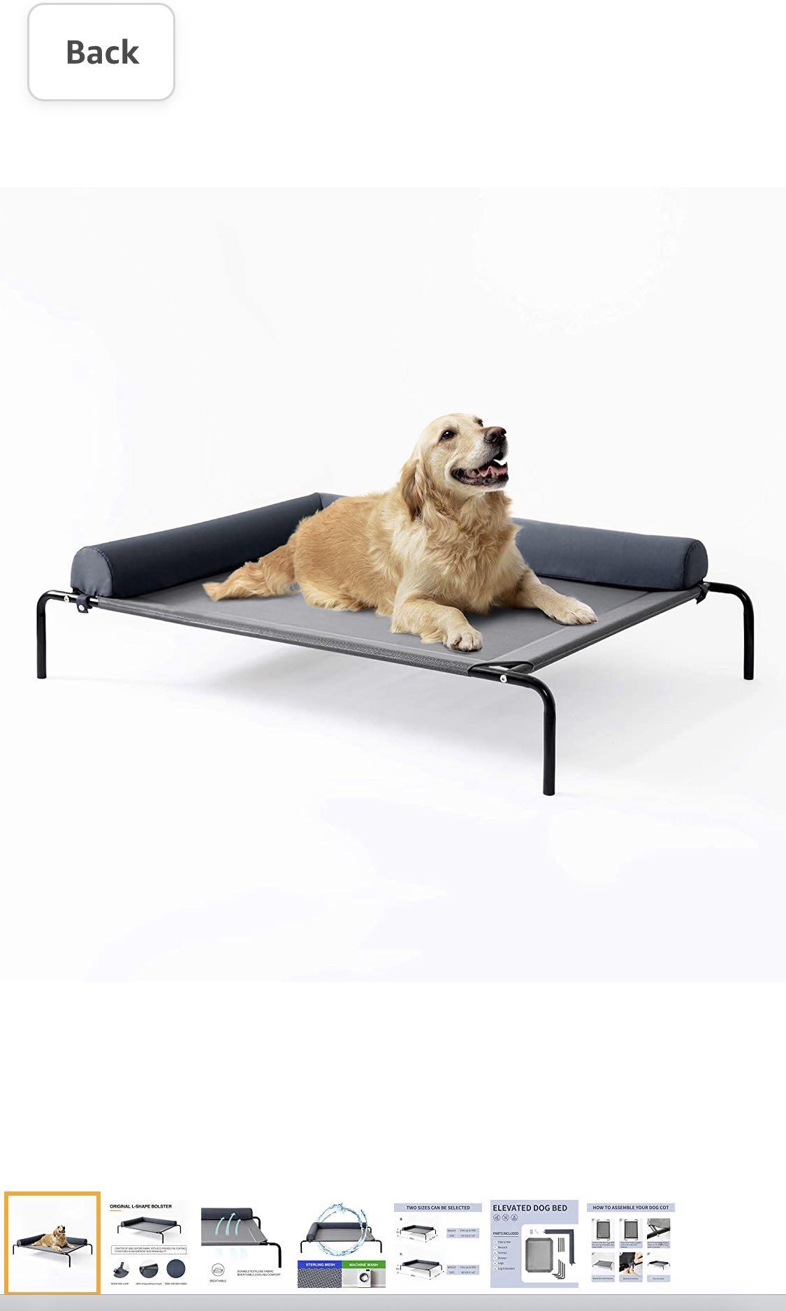 Elevated dog bed with bolster clearance