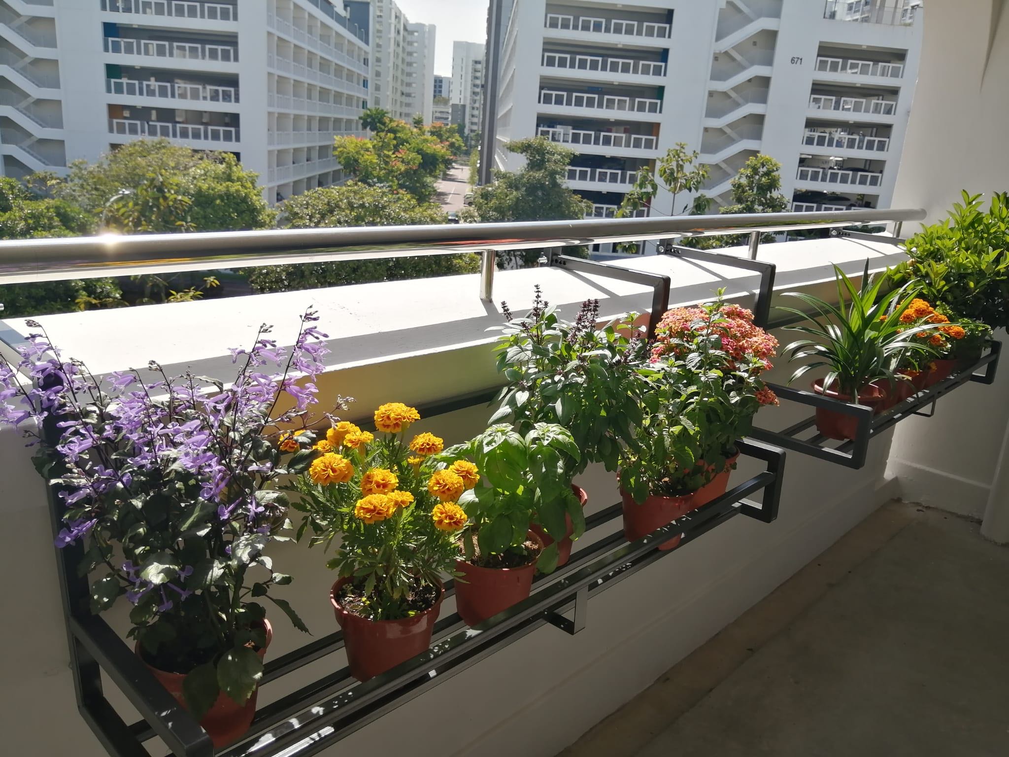 Heavy Duty Standard Flower Plant Rack Balcony Display Shelf for HDB