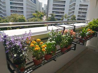 Heavy Duty Standard Flower Plant  Rack Balcony Display Shelf for HDB Corridor
