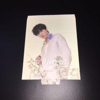 NCT Dream X CandyLab Official Photocard Postcard Standee