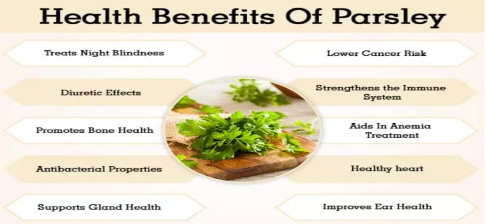 Parsley Powder (Category: Spice & Seasoning) located in Bacoor. Submitted by sarisarionlineph (Listing ID 1147679160, Image 2). Description: P150 - 50g small jar P200 - 100g big jar pm for details .