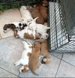 (Category: ) located in . Submitted by smiley_heart (Listing ID 1147541791, Image 1). Description: .