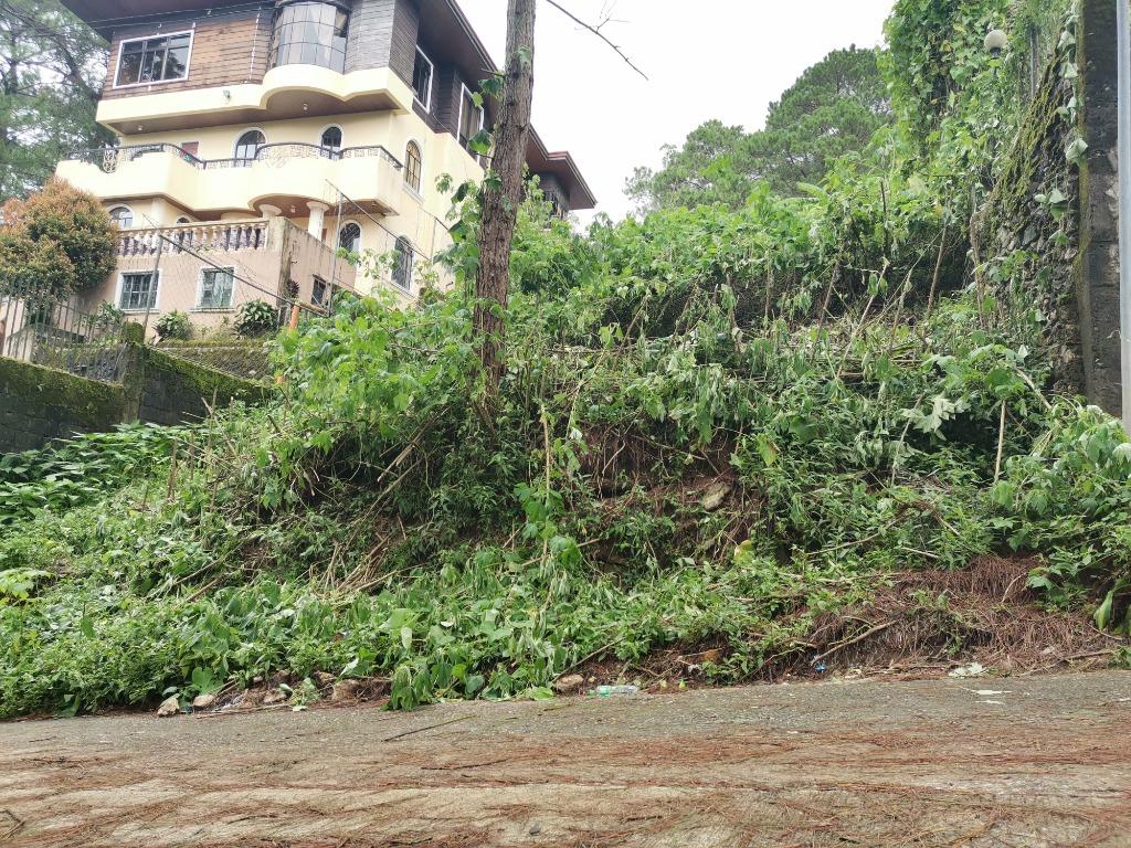 Baguio Residential Lot 391 m2 with view of Pine Trees along Tello St