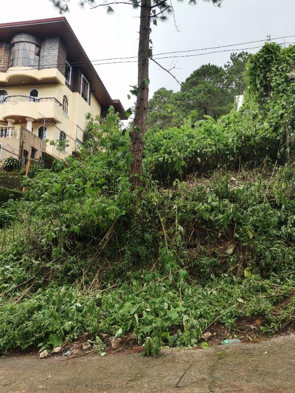 Baguio Residential Lot 391 m2 with view of Pine Trees along Tello St