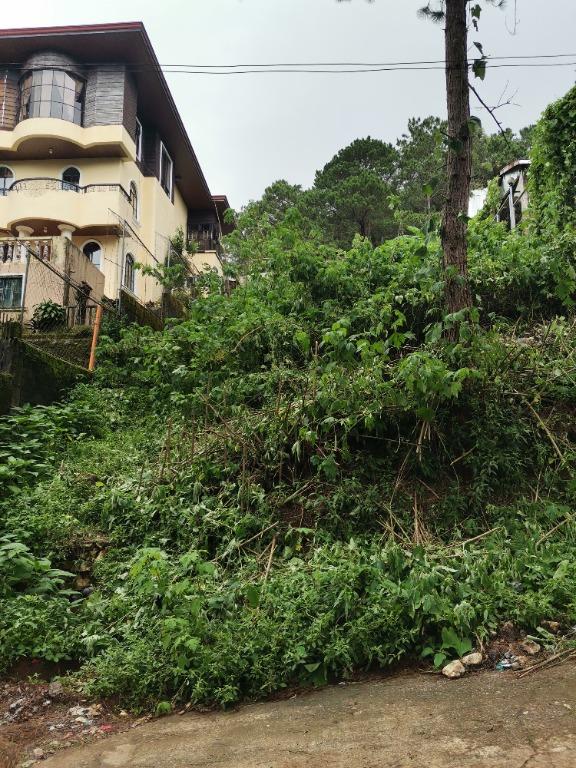 Baguio Residential Lot 391 m2 with view of Pine Trees along Tello St