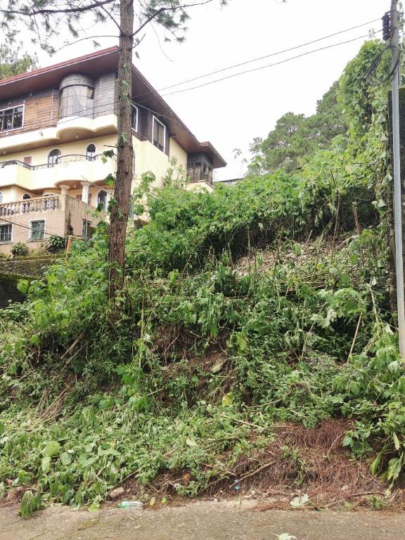 Baguio Residential Lot 391 m2 with view of Pine Trees along Tello St