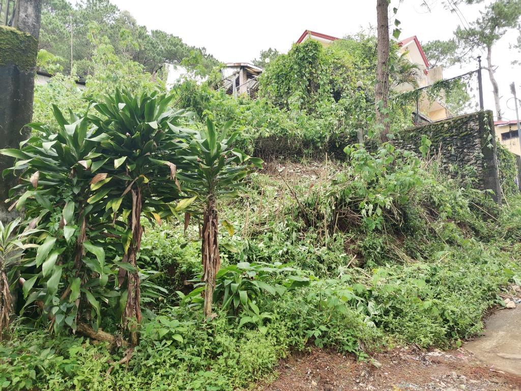Baguio Residential Lot 391 m2 with view of Pine Trees along Tello St