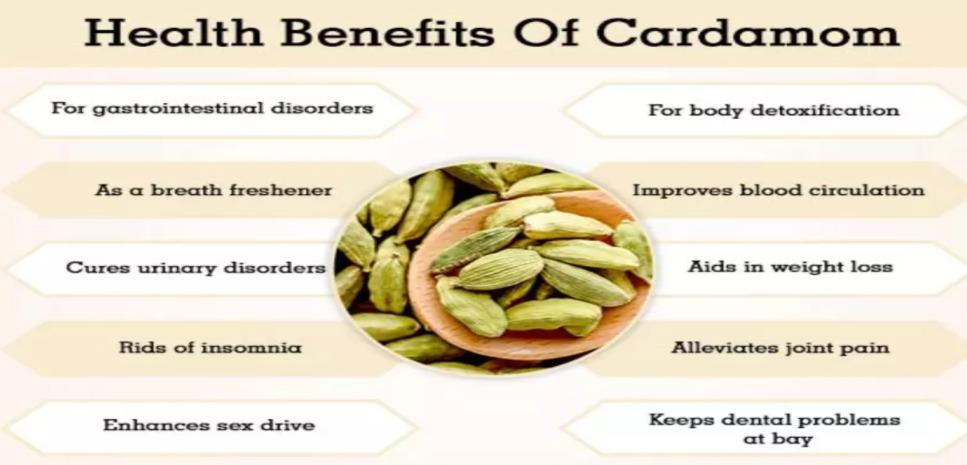 Cardamom Seeds (Category: Spice & Seasoning) located in San Juan City. Submitted by sarisarionlineph (Listing ID 1147684372, Image 2). Description: P300 - small jar 40g P490 - big jar 100g pm for details.