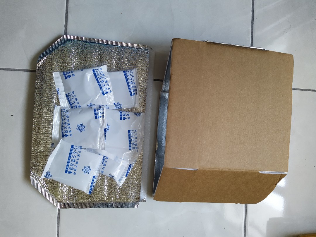 Courier Thermal Packaging ( Foam box+foam bag+ice packs), Hobbies
