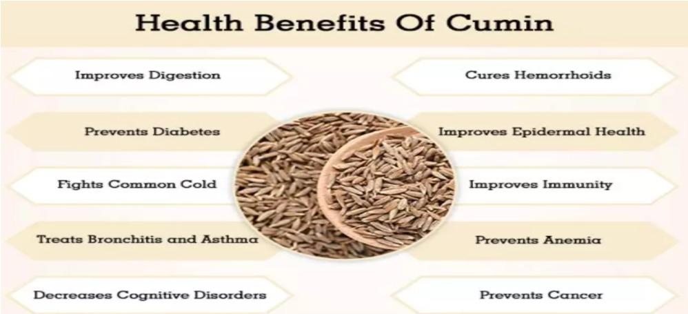Cumin Seeds (Category: Spice & Seasoning) located in San Juan City. Submitted by sarisarionlineph (Listing ID 1147756152, Image 2). Description: P130 - 40g small jar P185 - 100g big jar pm for details.