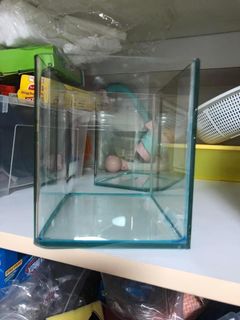 (Category: ) located in . Submitted by hans0808 (Listing ID 1147724986, Image 1). Description: .