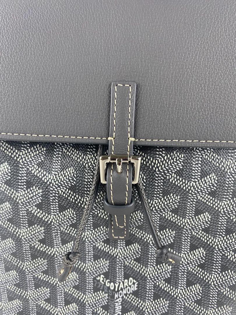 Goyard Alpin Mini Backpack, Luxury, Bags & Wallets on Carousell