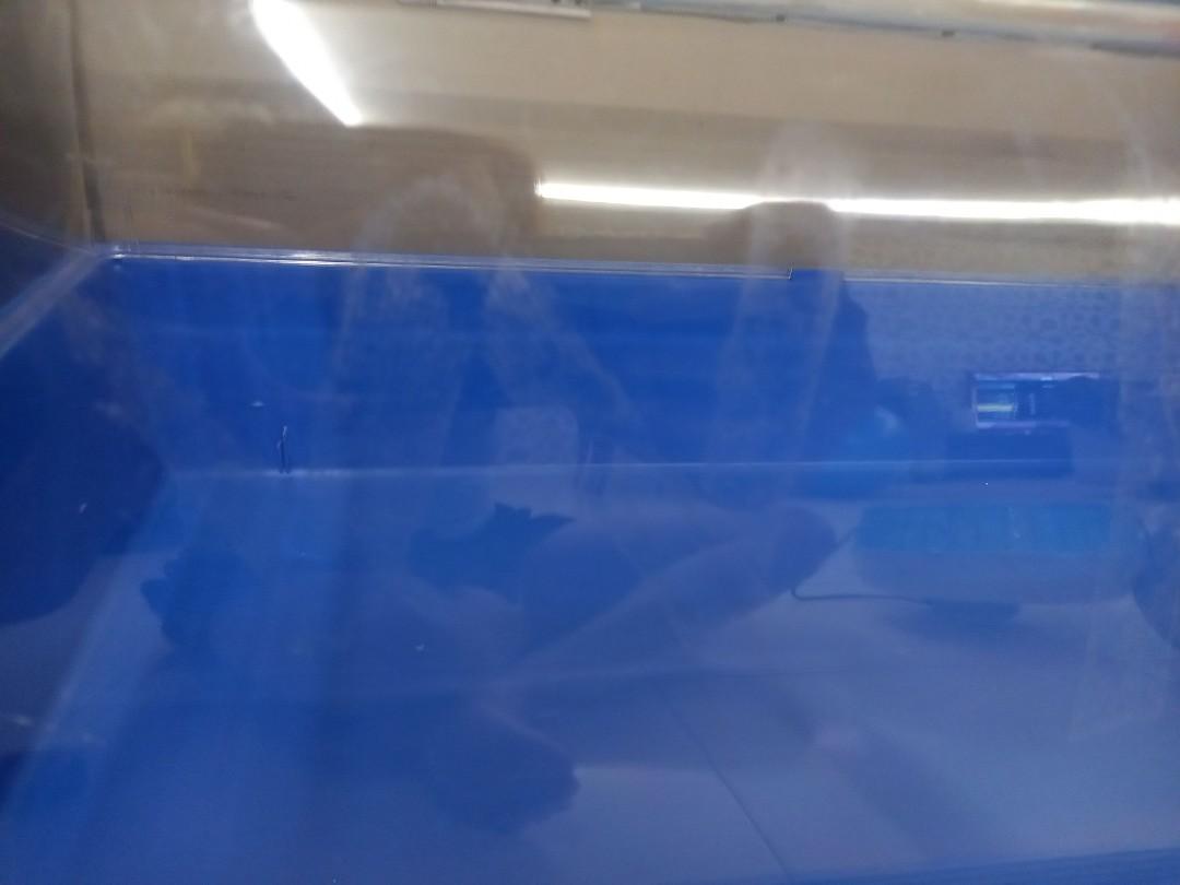 Hagen Zoozone Large Cage, Pet Supplies, Homes & Other Pet Accessories