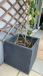 （分類：）位於 。 由 sjohn.1 提交（商品編號 1147777076，圖片 1）。簡介： 。
