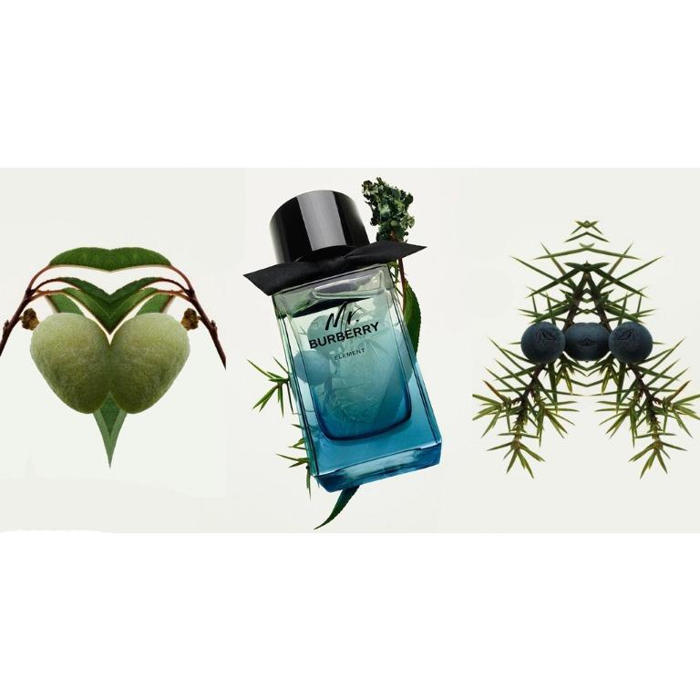 Mr burberry element discount 100ml