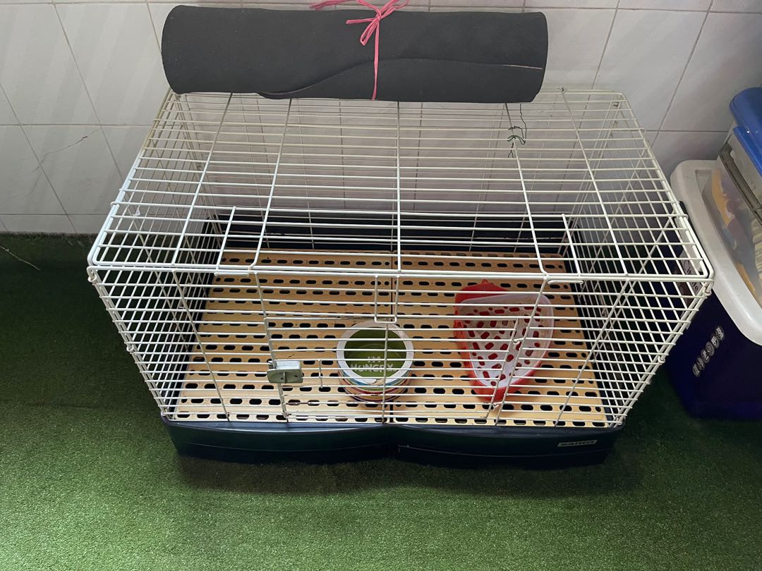 rabbit cage under $200