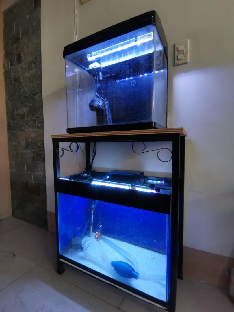 25 store gallon aquarium