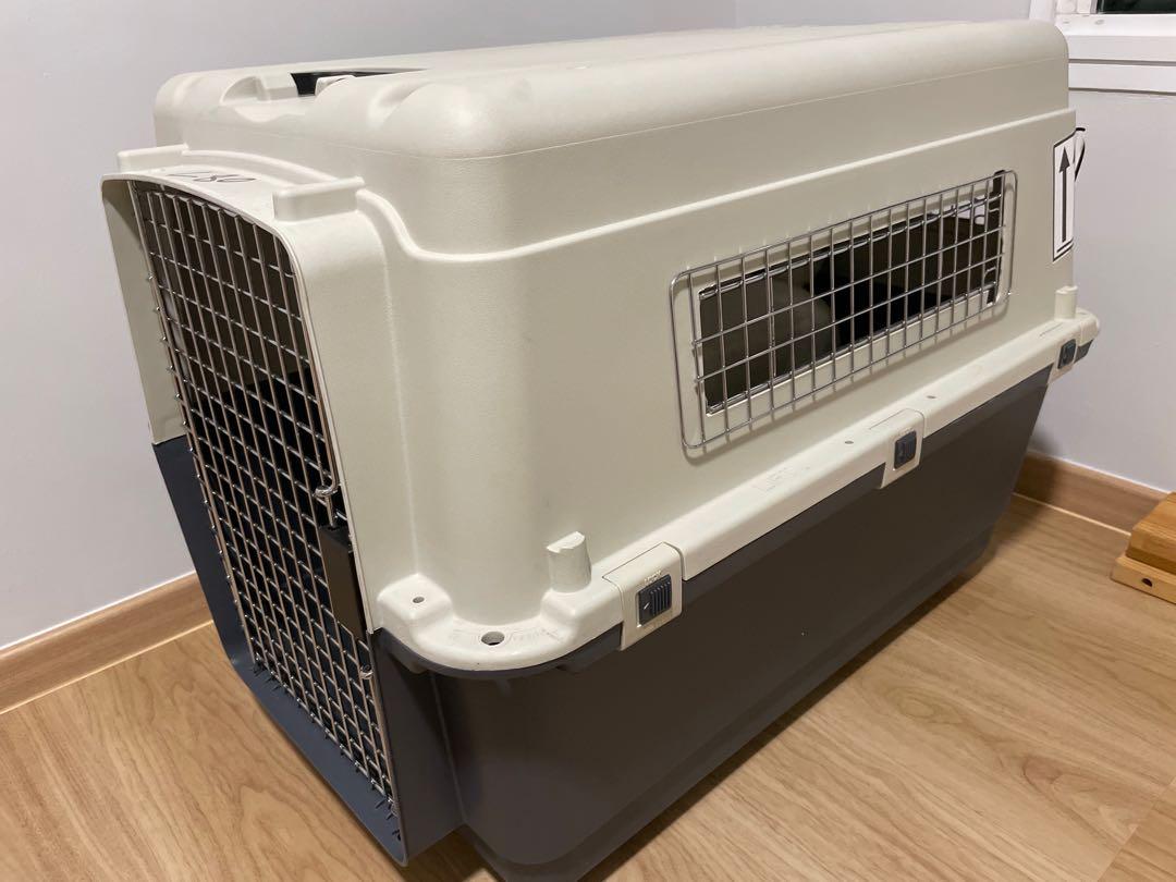 Airline approved pet crate 80cm, Pet Supplies, Homes & Other Pet