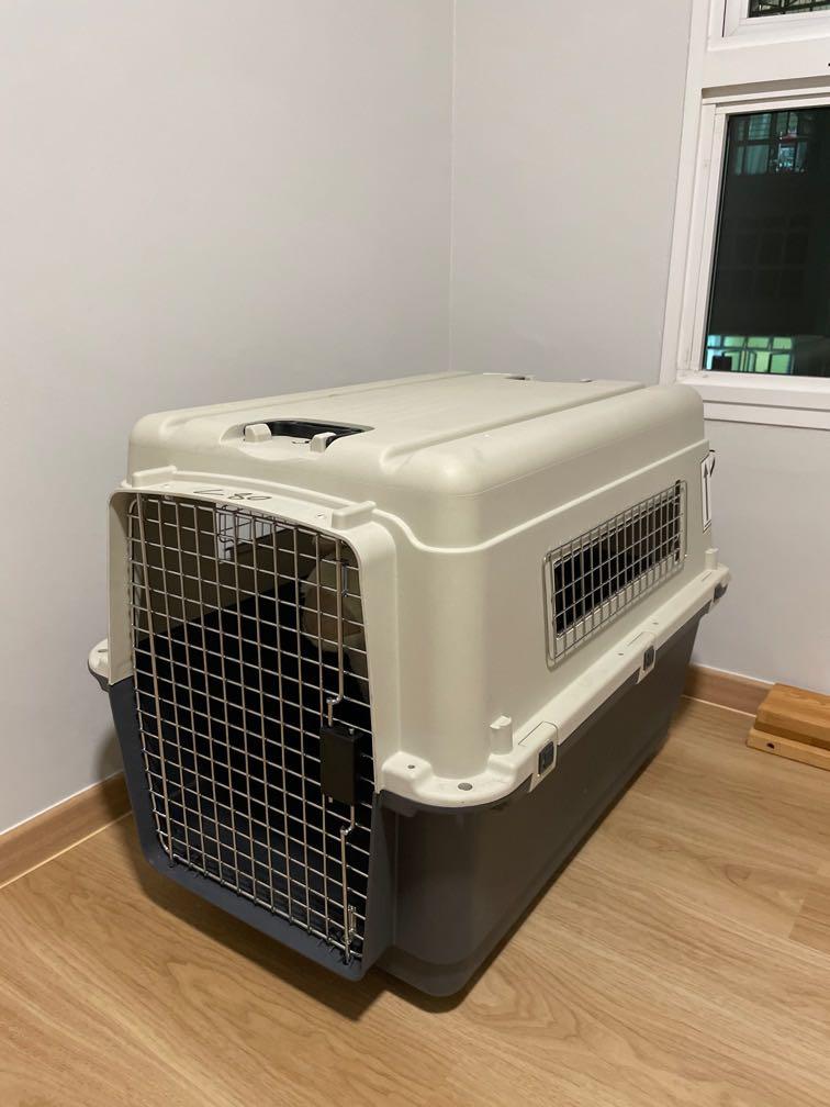 Airline approved pet crate 80cm, Pet Supplies, Homes & Other Pet