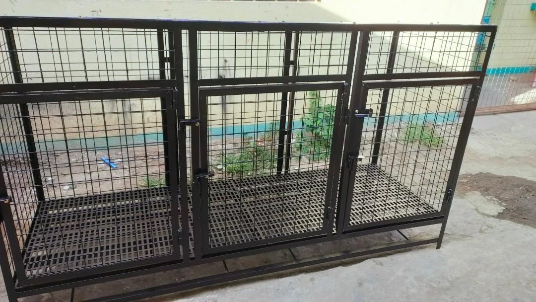 3 door outlet dog cage
