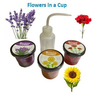 (Category: ) located in . Submitted by vegetableseedsnat (Listing ID 1147923044, Image 1). Description: .