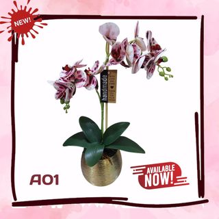 (Category: ) located in . Submitted by aryanshops (Listing ID 1148016779, Image 1). Description: .