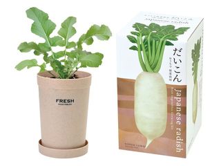 （分類：）位於 。 由 weatherpolis 提交（商品編號 1147903113，圖片 1）。簡介： 。