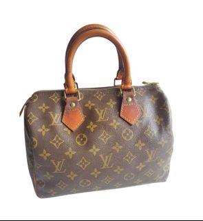 Speedy 25 Louis Vuitton - LAMPOO