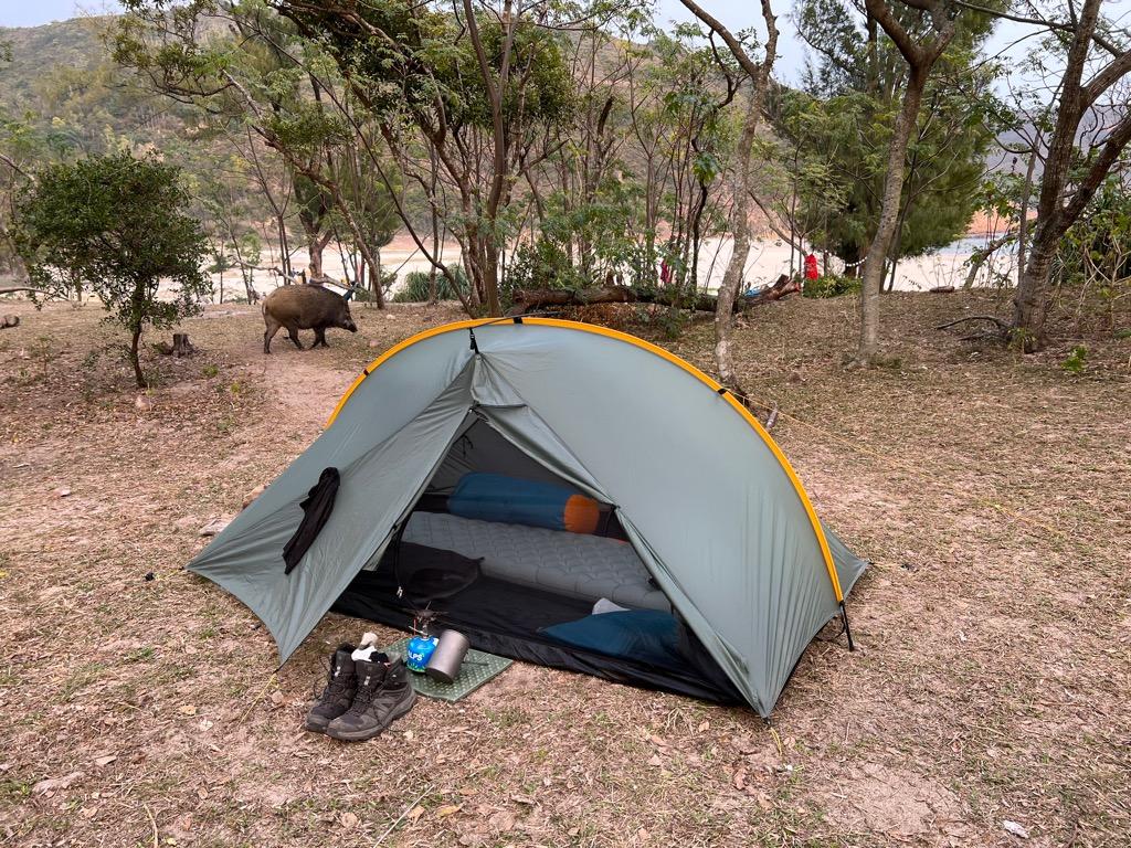 Tarptent Double Rainbow with Carbon Fibre pole, 運動產品, 行山及