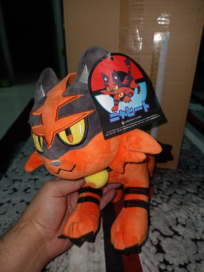 Torracat plush on sale