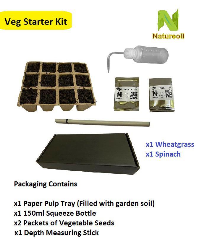 Vegetable Starter Kit (Category: Plants & Seeds) located in Singapore. Submitted by vegetableseedsnat (Listing ID 1147923740, Image 3). Description: Vegetable Starter Kit A simple kit to kick start the vegetable planting journey. Simply select the vegetable seeds of your choice. Do let me know your choice of seeds Item will be delivered to your place in approximately 3 working days. Using the measuring stick (Black line) to determine the depth to