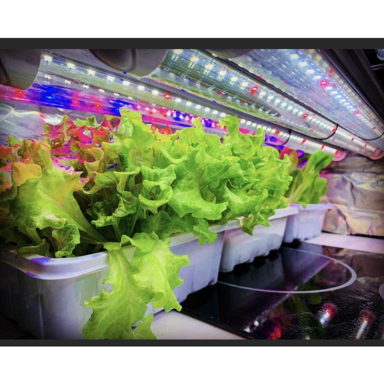 108 pot Hydroponics NFT System DIY PVC (LM1775), Furniture & Home