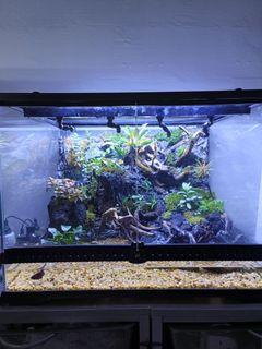 (Category: ) located in . Submitted by k0byy (Listing ID 1152421390, Image 1). Description: .