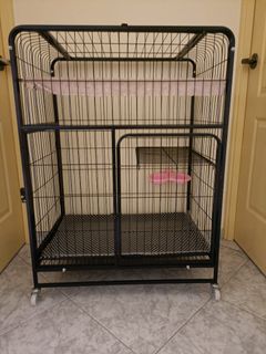 (Category: ) located in . Submitted by lizmay (Listing ID 1152470381, Image 1). Description: .