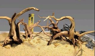 Aquarium Planted Tank  Collection item 2