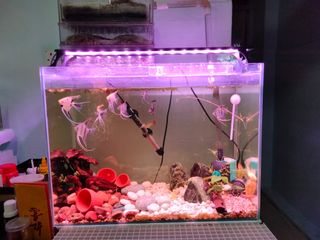 (Category: ) located in . Submitted by jackbob67 (Listing ID 1152510540, Image 1). Description: .