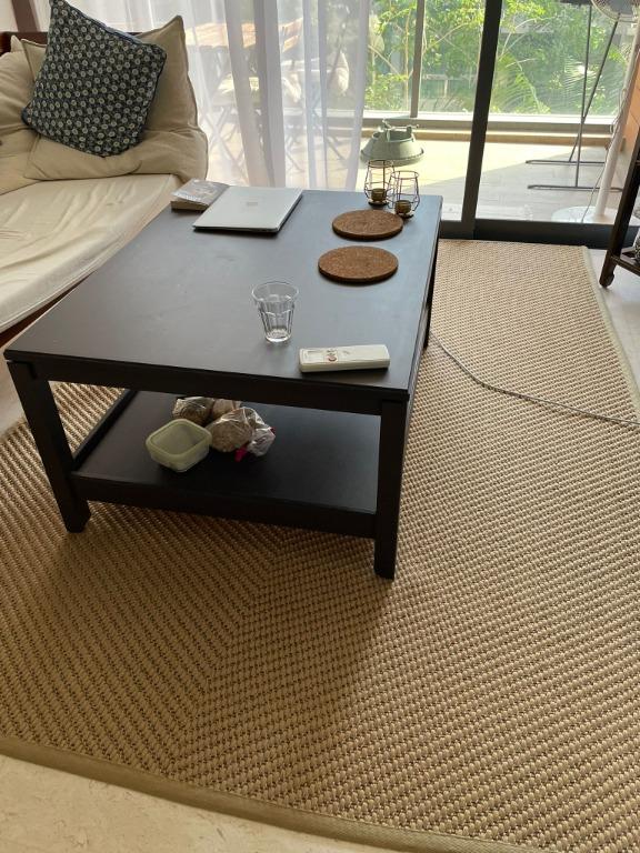 IKEA HAVSTA Coffee table 100x75cm